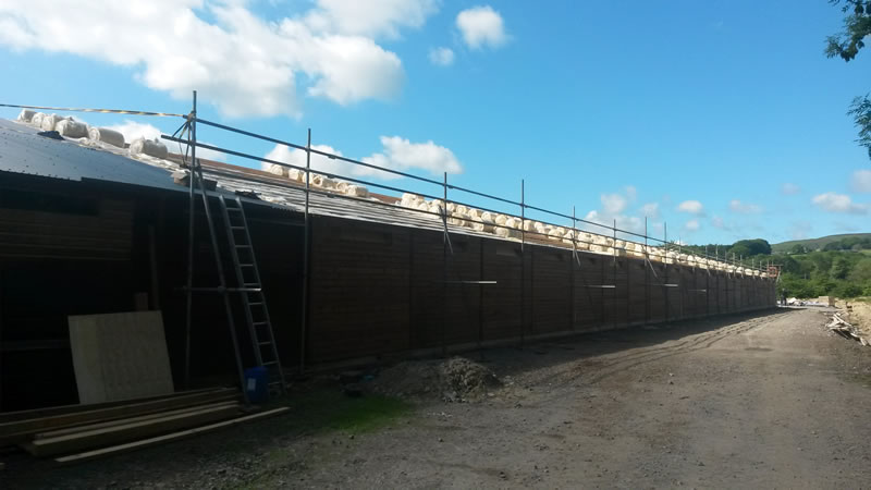 Ammonia emissions halt Welsh free range egg expansion Ammonia emissions halt Welsh free range egg expansion