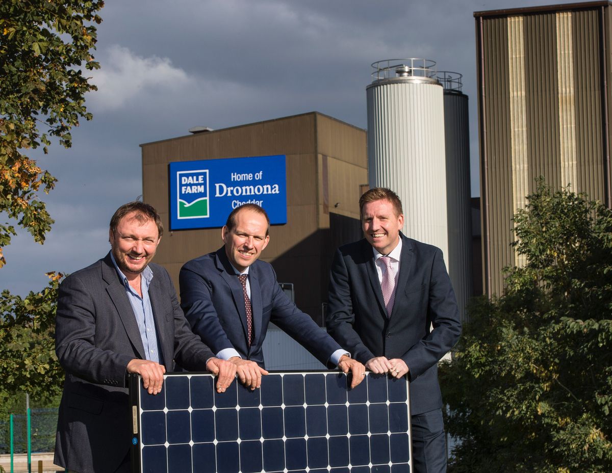Dairy market recovery sees Dale Farm profits surge to £8m Dairy market recovery sees Dale Farm profits surge to £8m