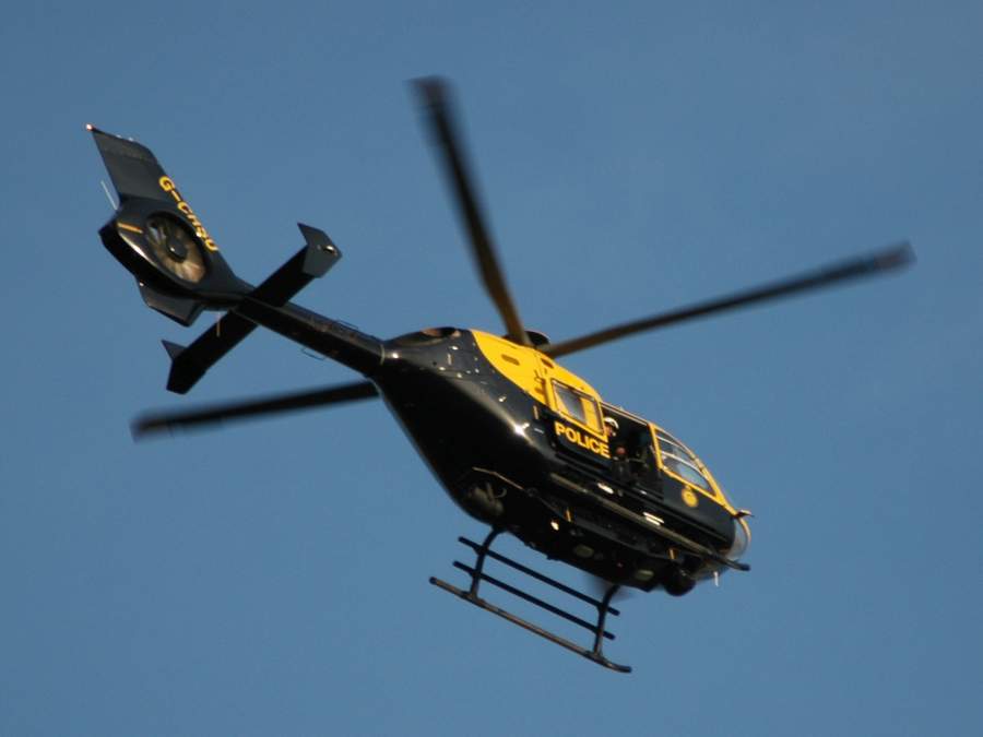 Sheep put down after being found in car boot following helicopter search Sheep put down after being found in car boot following helicopter search
