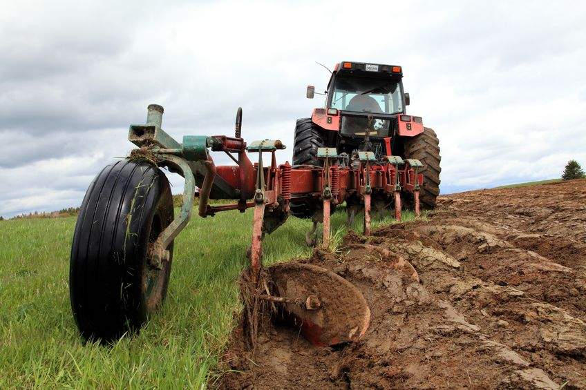 British agriculture could be 'sacrificed' in interest of free trade, report states British agriculture could be 'sacrificed' in interest of free trade, report states