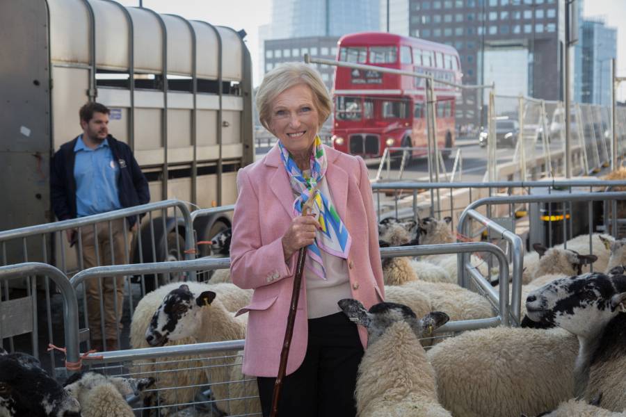 Mary Berry leads flock of sheep over London Bridge to promote wool industry Mary Berry leads flock of sheep over London Bridge to promote wool industry
