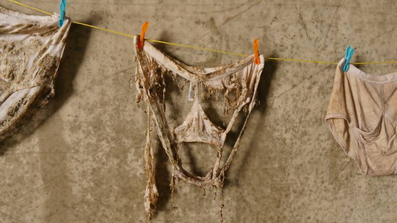 With rotten undies comes good soil