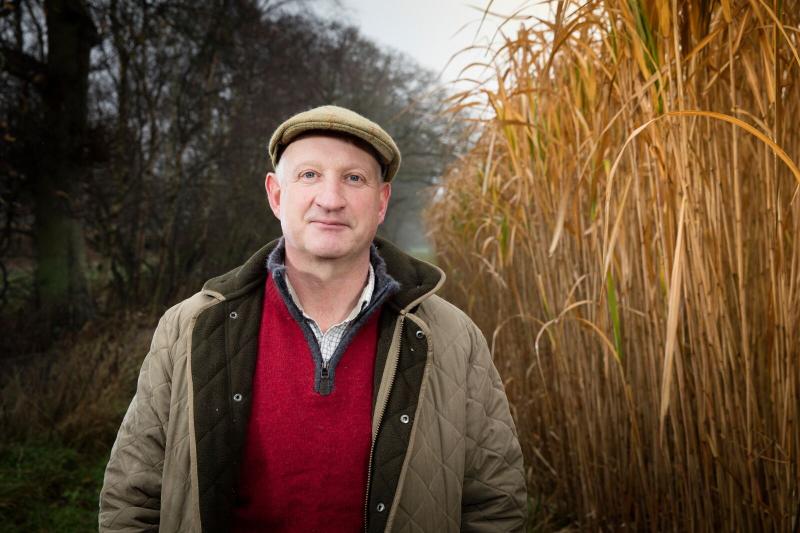 Norfolk's new biomass power station fuels demand for Miscanthus Norfolk's new biomass power station fuels demand for Miscanthus