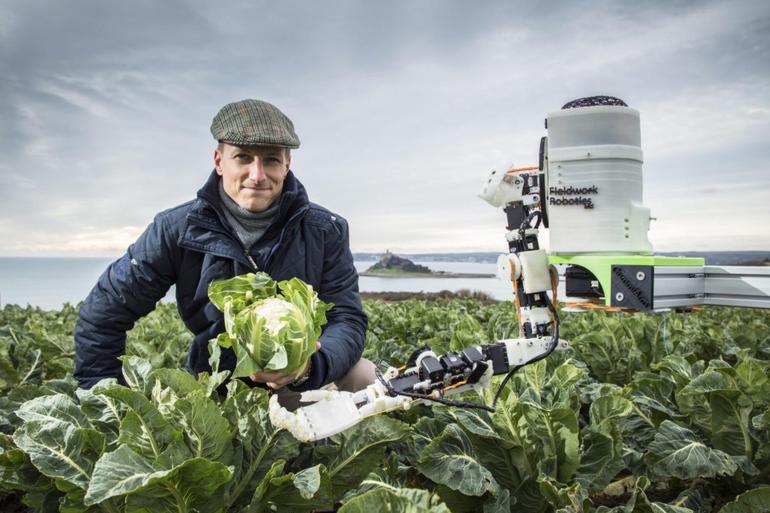 Scientists develop automated robotic crop-picker amid worker shortage Scientists develop automated robotic crop-picker amid worker shortage