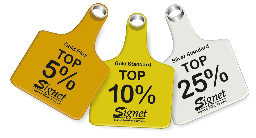 Gold plus identifier introduced to help buyers identify top stock Gold plus identifier introduced to help buyers identify top stock