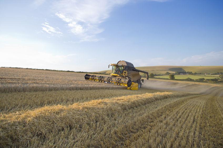 Gove announces £5.3m fund to improve UK crop resilience Gove announces £5.3m fund to improve UK crop resilience