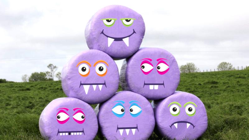 Purple 'critter bales' appear in fields to raise money for children's charity Purple 'critter bales' appear in fields to raise money for children's charity