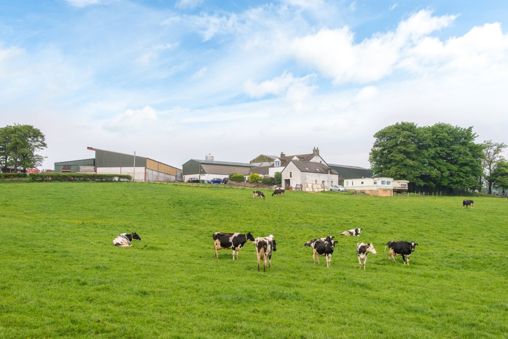 High interest expected as 'productive' dairy farm enters market High interest expected as 'productive' dairy farm enters market