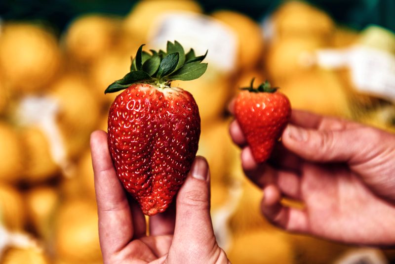 Retailers told to be more flexible when setting produce specifications Retailers told to be more flexible when setting produce specifications