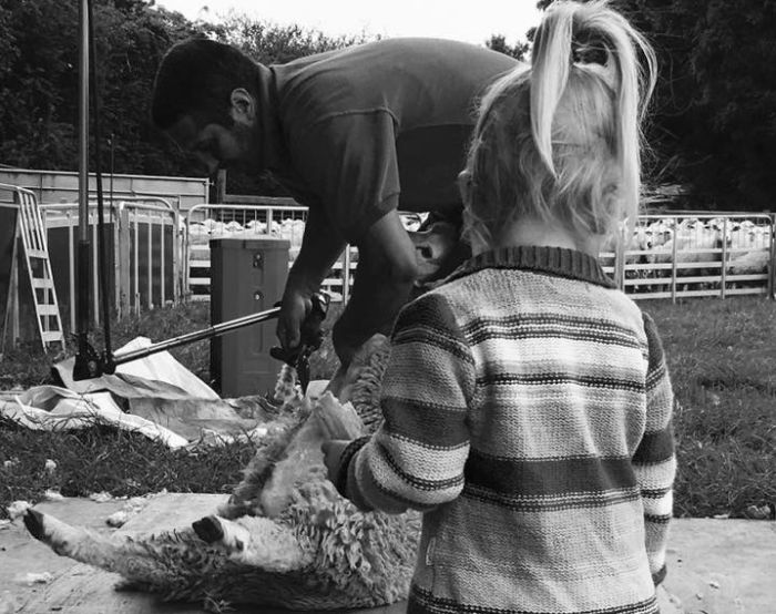 '2018 dealt us the cruellest hand': Year of extreme highs and lows for sheep farmer '2018 dealt us the cruellest hand': Year of extreme highs and lows for sheep farmer