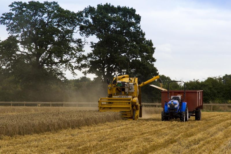 Hands-Free Hectare team successfully harvest second crop Hands-Free Hectare team successfully harvest second crop