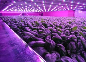 'World's most advanced' vertical farm launched in Scotland 'World's most advanced' vertical farm launched in Scotland