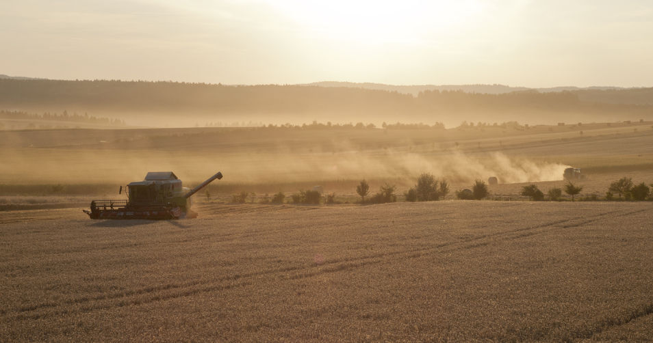 Intensive farming 'least bad option' for food production and environment Intensive farming 'least bad option' for food production and environment