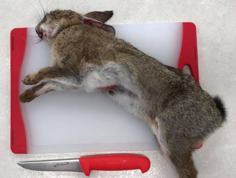 Rural school defies death threats and continues butchery lessons Rural school defies death threats and continues butchery lessons