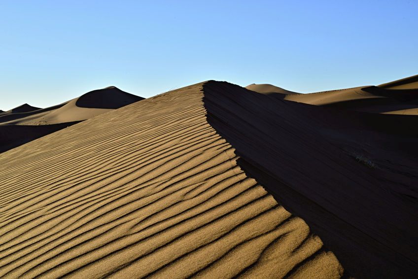 Farmer hopes to raise £45,000 in gruelling Sahara challenge Farmer hopes to raise £45,000 in gruelling Sahara challenge