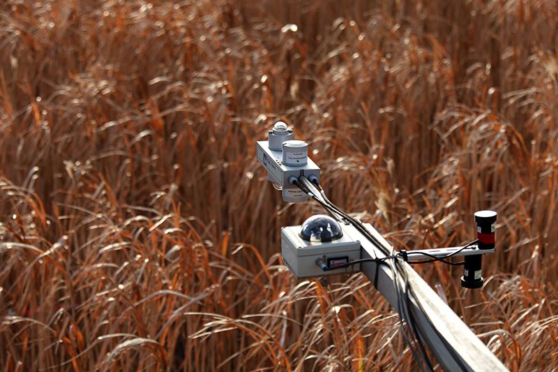1.4Mha of second-generation crops could boost biomass, report says 1.4Mha of second-generation crops could boost biomass, report says