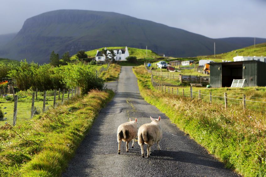 Boost for remote Highland farmers as micro-abattoir project edges closer Boost for remote Highland farmers as micro-abattoir project edges closer