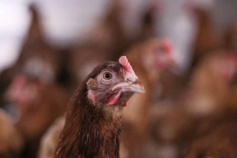 FarmingUK Logo