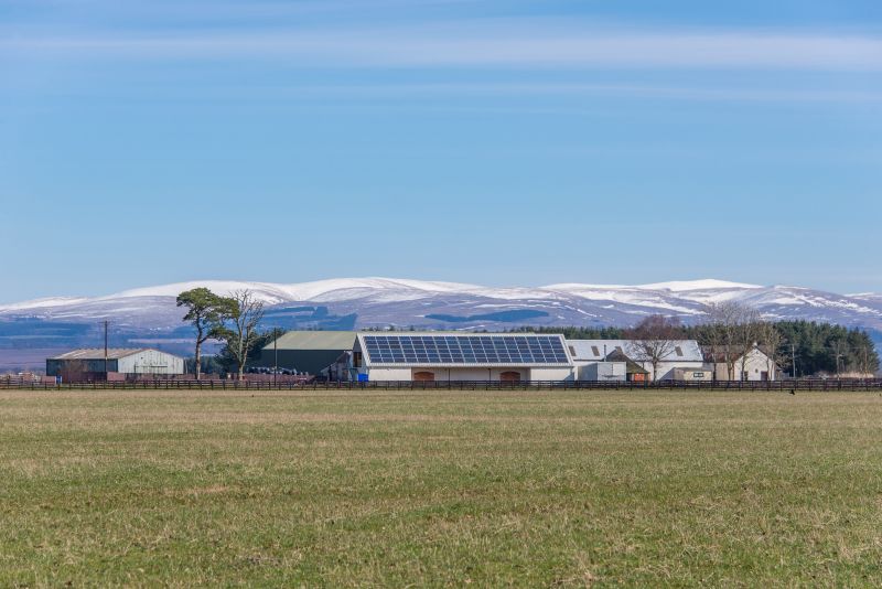 Price stability 'key factor' in increased activity Scottish farmland Price stability 'key factor' in increased activity Scottish farmland