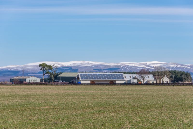 Scottish farmland may continue to hold firm despite Brexit uncertainty Scottish farmland may continue to hold firm despite Brexit uncertainty