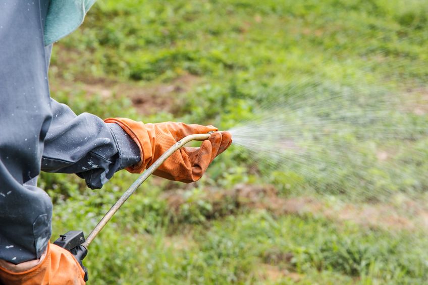 Man sentenced to prison after selling banned plant protection product Man sentenced to prison after selling banned plant protection product
