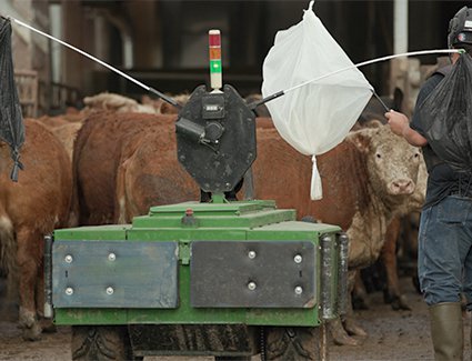 'R2DMoo': Bag-waving robot introduced on US beef farm 'R2DMoo': Bag-waving robot introduced on US beef farm