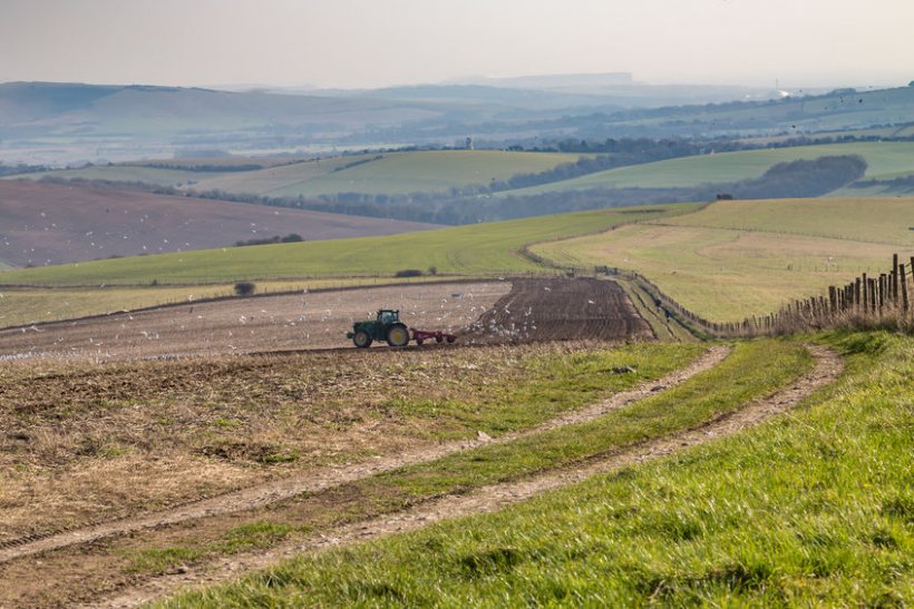 Farmland market holds firm after 'extraordinary' 2020 - Vimarsana News