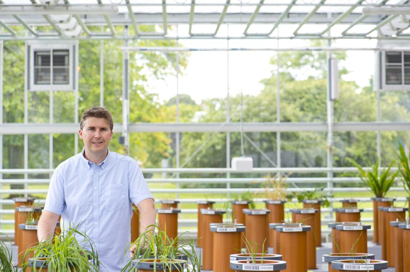 New discovery paves way for crops to grow in damaged soils - Vimarsana News