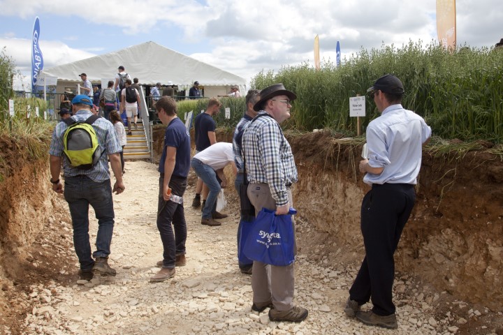 Cereals to go ahead as live event this summer - Vimarsana News