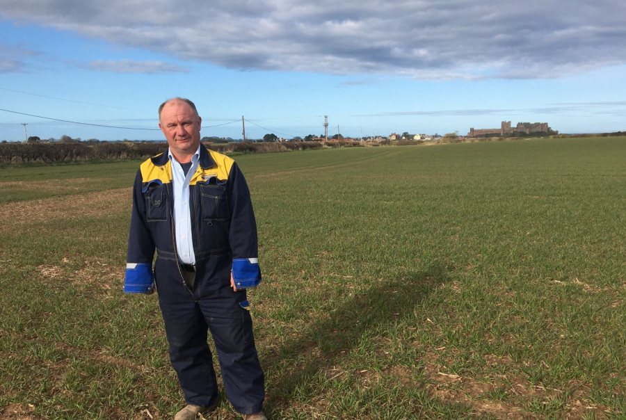 Grower says UK farming 'much better off' without subsidies - Vimarsana News