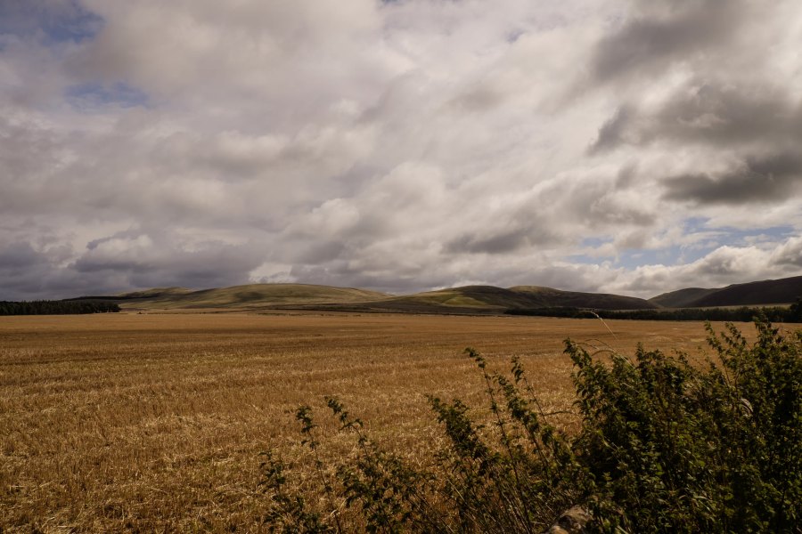 Space technology breaks down farmland use in Scotland - Vimarsana News