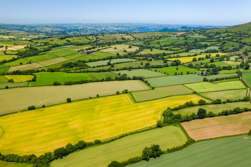 Average farmland values rise to highest level since 2018 - Vimarsana News
