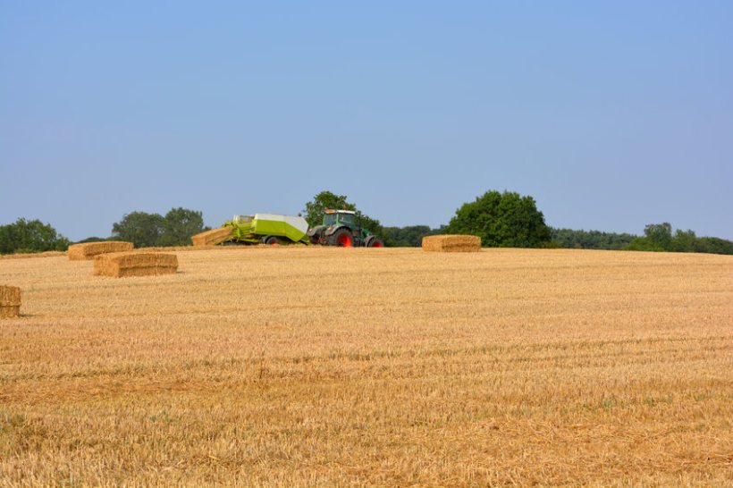 Farmers told to 'not lose control' amid changing land use - Vimarsana News