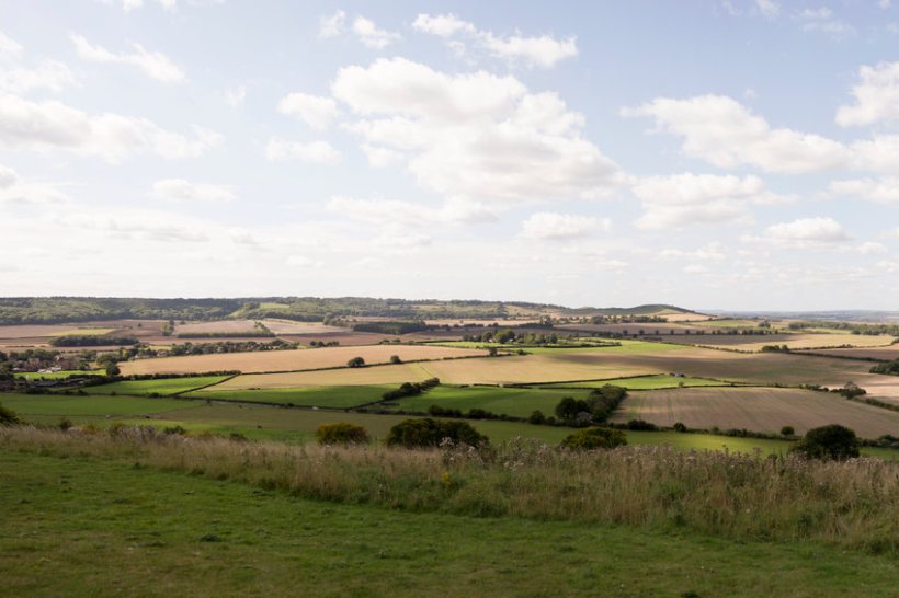 Farmland values on rise as supply shortage bites - Vimarsana News