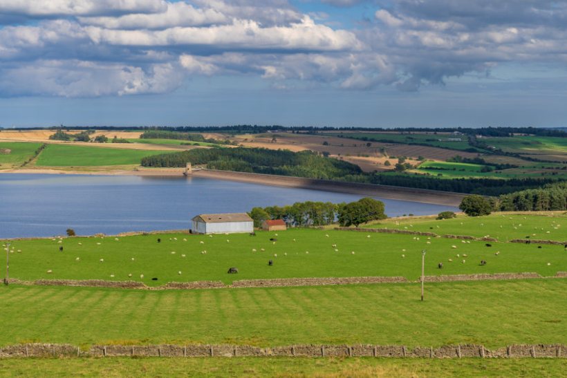 Defra's new Lump Sum Exit Scheme broken down - Vimarsana News
