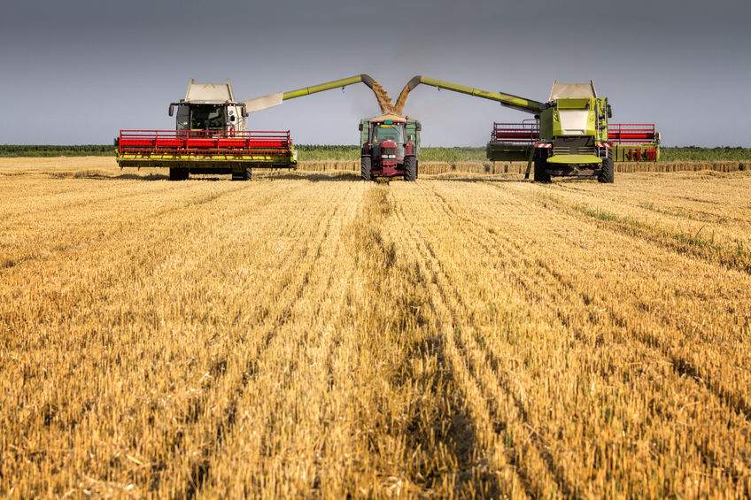 Contracting prices will increase this spring, NAAC warns - Vimarsana News