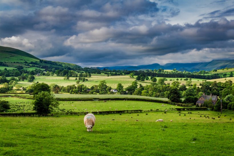 UK researchers seek to improve rural knowledge exchange - Vimarsana News
