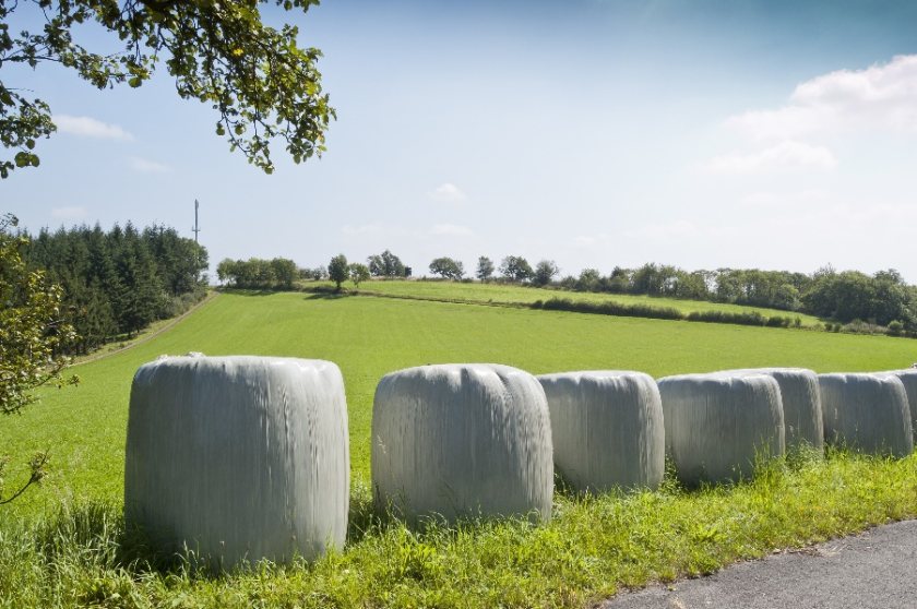 Bale contamination warning following very dry start to 2022 - Vimarsana News