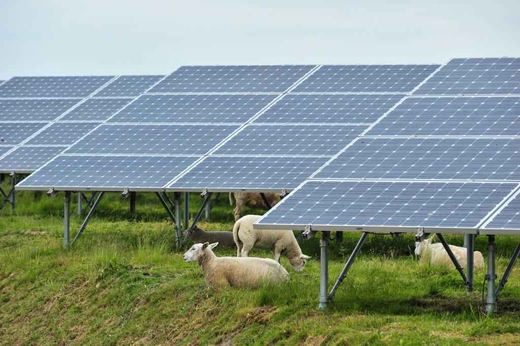 Scotland becoming 'solar energy hot spot' as developers seek land - Vimarsana News
