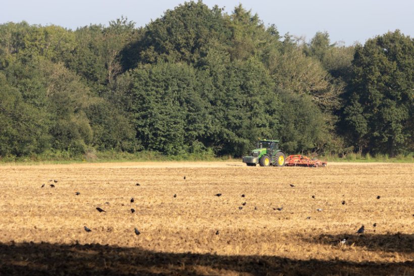 Defra to open £30m fund for farmers to add-value to products - Vimarsana News