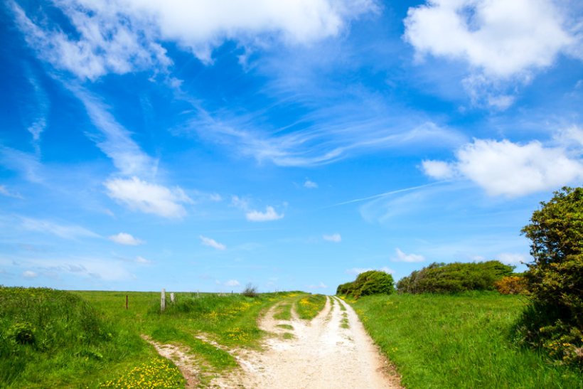 Farmers in North Downs offered £60,000 accommodation grants - Vimarsana News