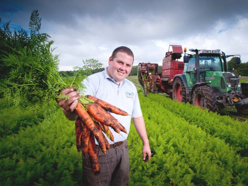 Final harvest for St Helens farm business as it appoints administrator - Vimarsana News