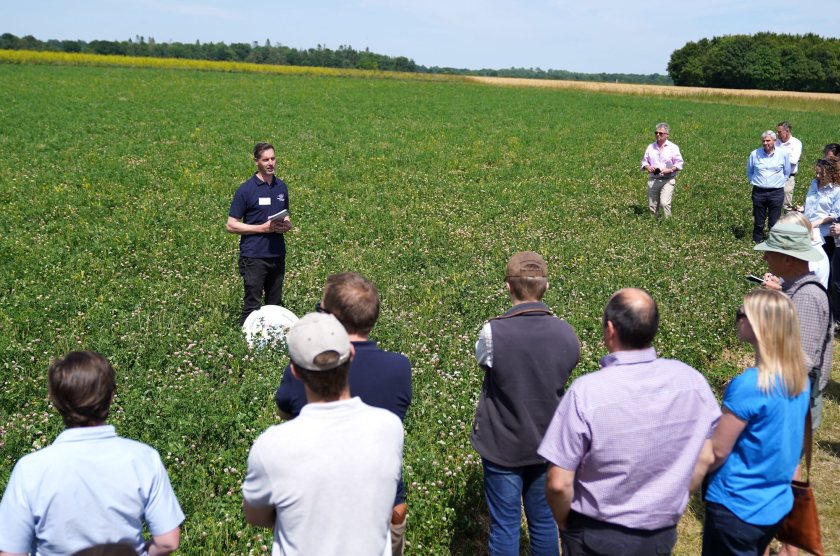 Yattendon Estate recognised for its sustainable farming excellence - Vimarsana News