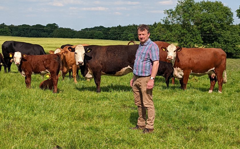 Farm scoops award for aligning beef production with sustainability - Vimarsana News
