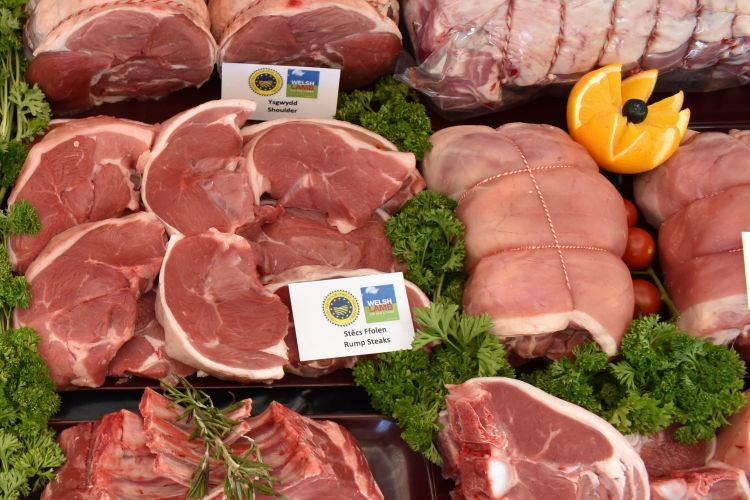Five US importers to arrive in UK on lamb trade visit - Vimarsana News