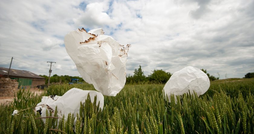 More than 50,000 people sign NFU petition calling for sky lantern ban - Vimarsana News