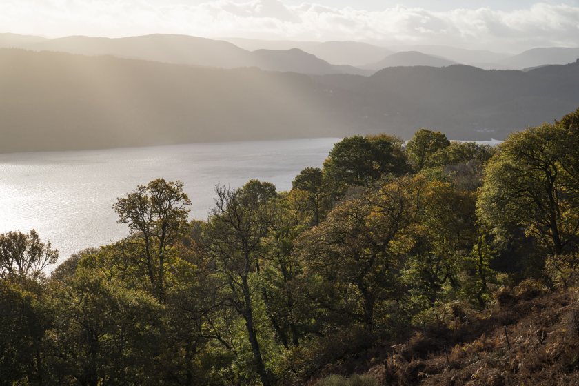 Protocol launched for responsible investment in natural capital - Vimarsana News