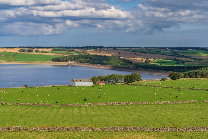 New £110m rural grant: What it means for farmers - Vimarsana News