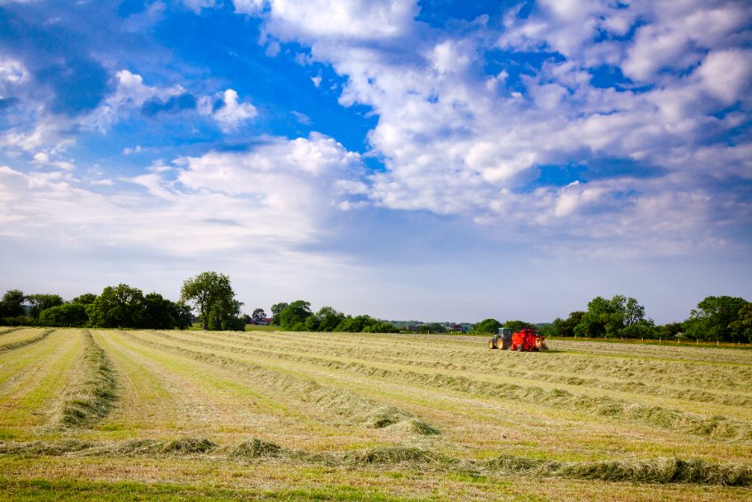 Silage quality warning as 2nd cut results show feeding issues - Vimarsana News
