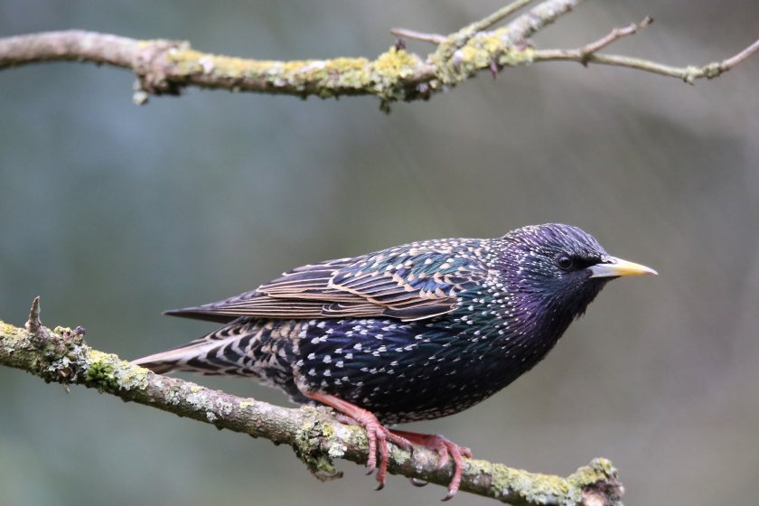 Fifteen farms boost wildlife in Hampshire-Dorset nature reserve - Vimarsana News